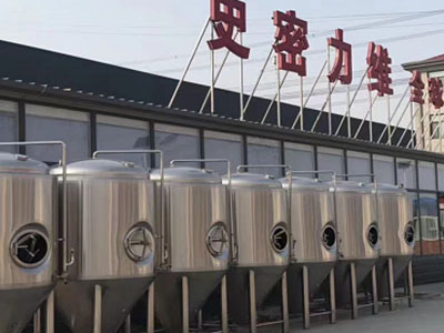溆浦精酿啤酒设备厂—如何判断精酿啤酒设备的密封件需要更换？
